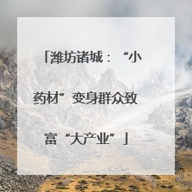 潍坊诸城：“小药材”变身群众致富“大产业”