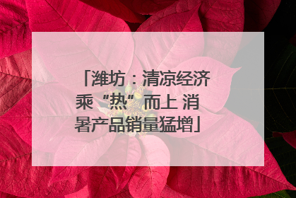 潍坊：清凉经济乘“热”而上 消暑产品销量猛增