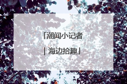 潮闻小记者｜海边拾趣