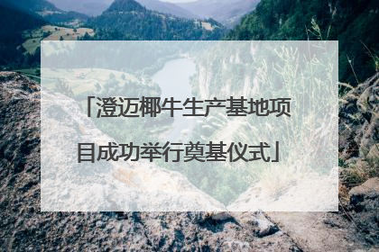 澄迈椰牛生产基地项目成功举行奠基仪式