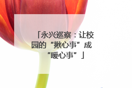 永兴巡察：让校园的“揪心事”成“暖心事”