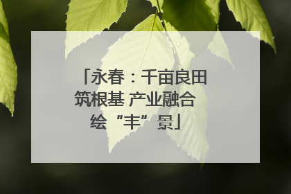 永春：千亩良田筑根基 产业融合绘“丰”景