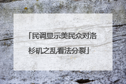 民调显示美民众对洛杉矶之乱看法分裂