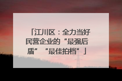 江川区：全力当好民营企业的“最强后盾”“最佳拍档”