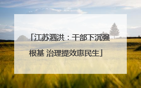 江苏泗洪：干部下沉强根基 治理提效惠民生