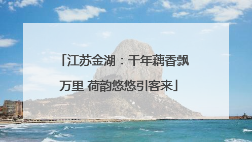 江苏金湖：千年藕香飘万里 荷韵悠悠引客来