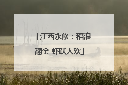 江西永修：稻浪翻金 虾跃人欢