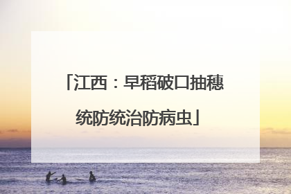 江西：早稻破口抽穗 统防统治防病虫