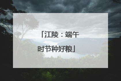 江陵：端午时节种好粮