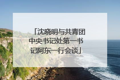 沈晓明与共青团中央书记处第一书记阿东一行会谈