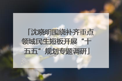 沈晓明围绕补齐重点领域民生短板开展“十五五”规划专题调研