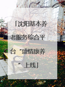 沈阳基本养老服务综合平台“盛情康养”上线