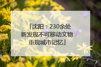 沈阳：230余处新发现不可移动文物重现城市记忆
