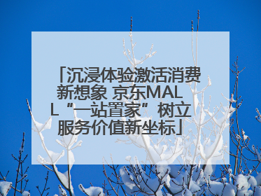 沉浸体验激活消费新想象 京东MALL“一站置家”树立服务价值新坐标