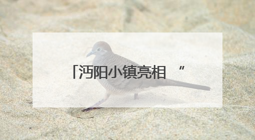 沔阳小镇亮相 “知音湖北，相约大湾区” 2025湖北文旅推介会