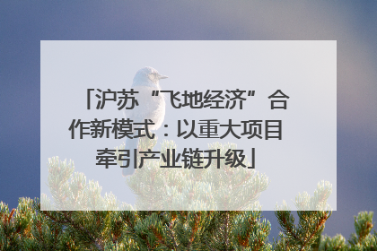 沪苏“飞地经济”合作新模式：以重大项目牵引产业链升级