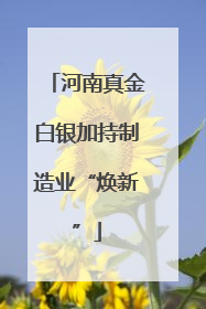河南真金白银加持制造业“焕新”