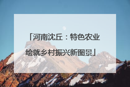 河南沈丘：特色农业绘就乡村振兴新图景