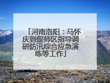 河南洛阳：马怀庆到偃师区指导调研防汛综合应急演练等工作