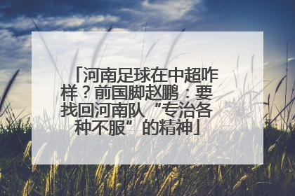 河南足球在中超咋样？前国脚赵鹏：要找回河南队“专治各种不服”的精神