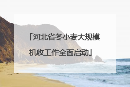 河北省冬小麦大规模机收工作全面启动