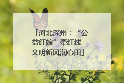 河北深州：“公益红娘”牵红线 文明新风润心田