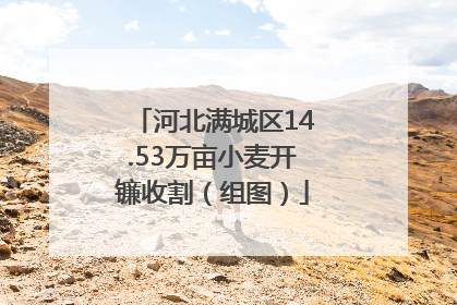 河北满城区14.53万亩小麦开镰收割（组图）