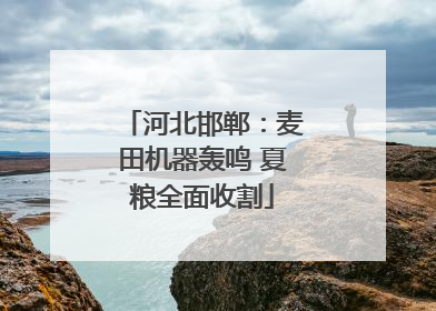 河北邯郸：麦田机器轰鸣 夏粮全面收割