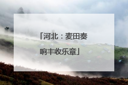 河北：麦田奏响丰收乐章