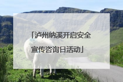 泸州纳溪开启安全宣传咨询日活动