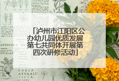 泸州市江阳区公办幼儿园优质发展第七共同体开展第四次研修活动