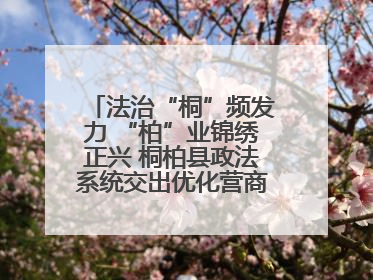 法治“桐”频发力 “柏”业锦绣正兴 桐柏县政法系统交出优化营商环境“成绩单”