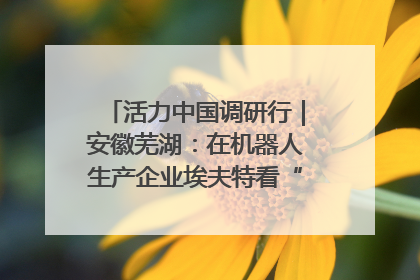 活力中国调研行｜安徽芜湖：在机器人生产企业埃夫特看“中国智造”