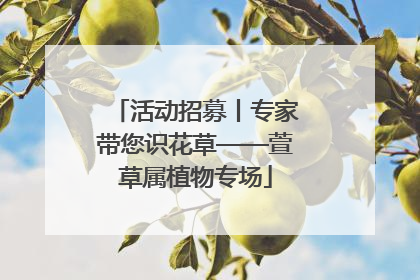 活动招募丨专家带您识花草——萱草属植物专场