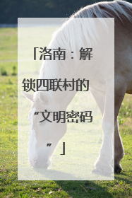 洛南：解锁四联村的“文明密码”