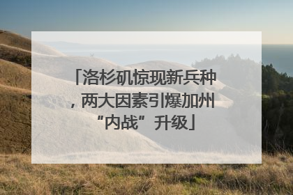 洛杉矶惊现新兵种，两大因素引爆加州“内战”升级