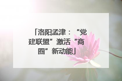 洛阳孟津：“党建联盟”激活“商圈”新动能