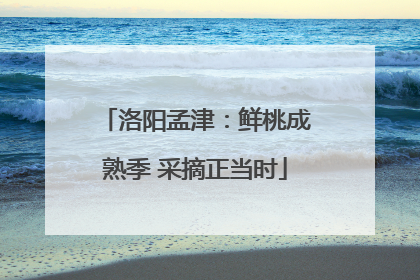 洛阳孟津：鲜桃成熟季 采摘正当时