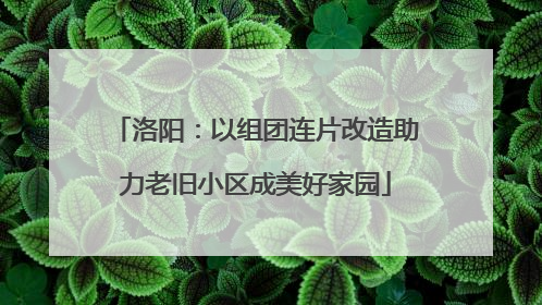 洛阳：以组团连片改造助力老旧小区成美好家园