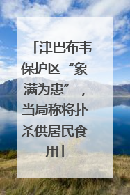 津巴布韦保护区“象满为患”，当局称将扑杀供居民食用
