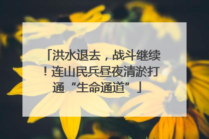 洪水退去，战斗继续！连山民兵昼夜清淤打通“生命通道”