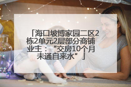 海口坡博家园二区2栋2单元2层部分商铺业主：“交房10个月未通自来水”