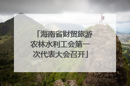 海南省财贸旅游农林水利工会第一次代表大会召开