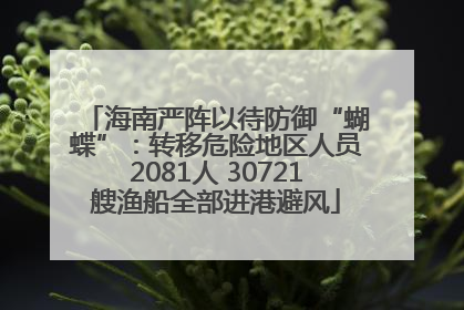 海南严阵以待防御“蝴蝶”：转移危险地区人员2081人 30721艘渔船全部进港避风