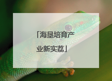 海垦培育产业新实荔