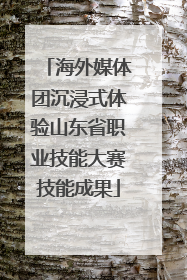 海外媒体团沉浸式体验山东省职业技能大赛技能成果