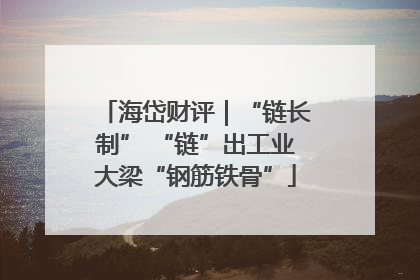 海岱财评｜“链长制” “链”出工业大梁“钢筋铁骨”