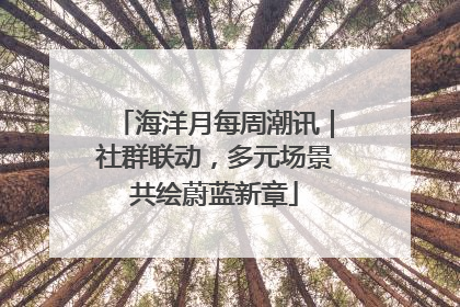 海洋月每周潮讯｜社群联动，多元场景共绘蔚蓝新章