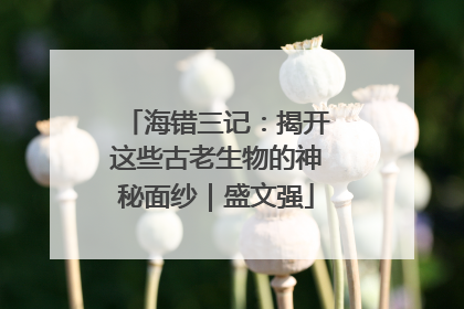 海错三记：揭开这些古老生物的神秘面纱｜盛文强
