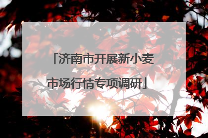 济南市开展新小麦市场行情专项调研